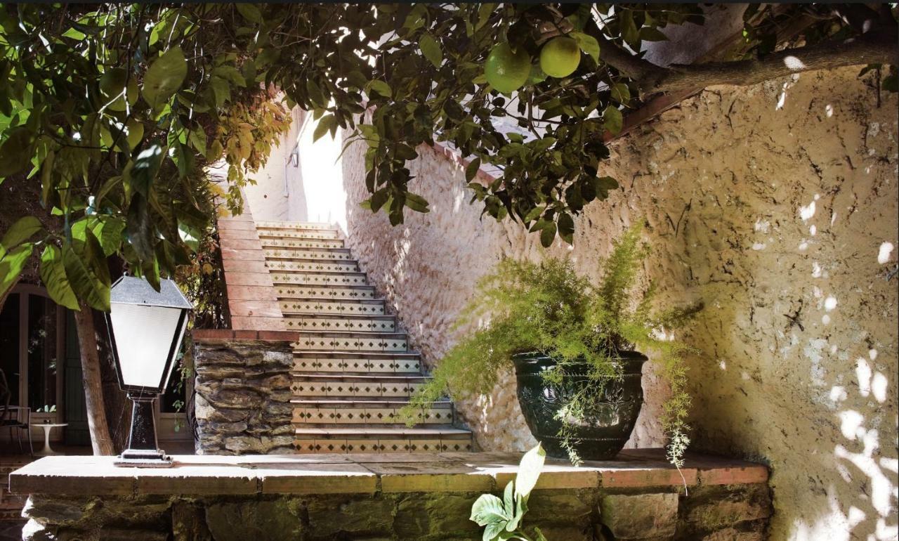 Le Mas Des Citronniers Collioure Zewnętrze zdjęcie